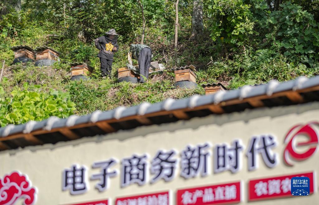澳门新葡萄游戏